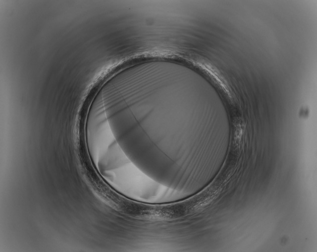 X0000097850678200803281249