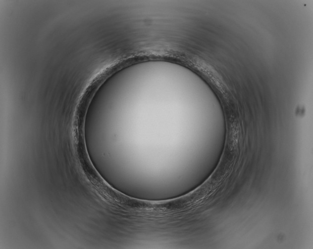 X0000097850680200803281249