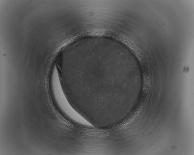 X0000097850681200803281249