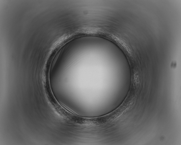 X0000097850682200803281249