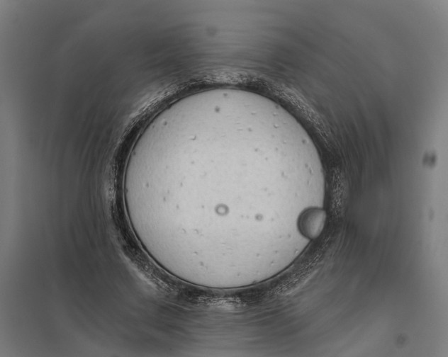 X0000097850683200803281249