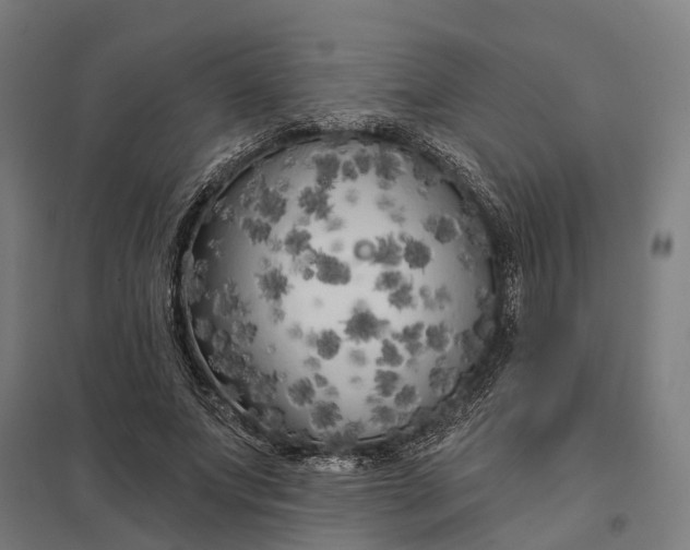 X0000097850687200803281249