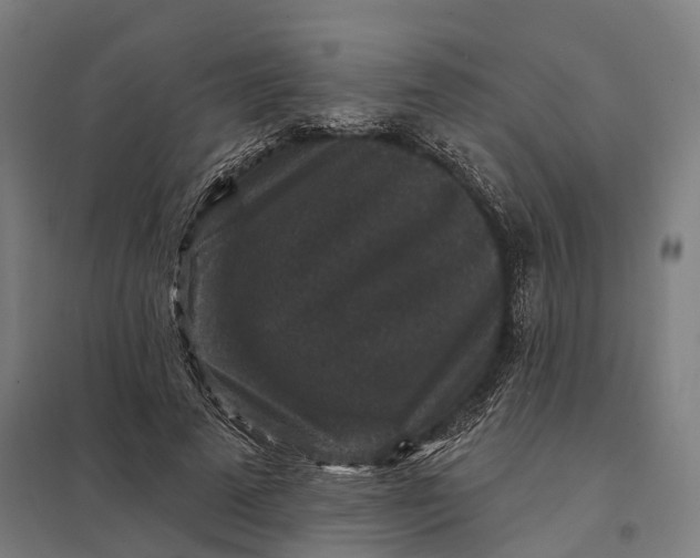 X0000097850689200803281249