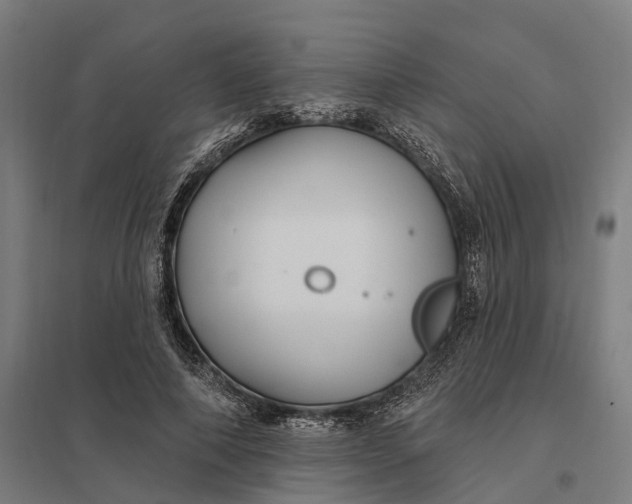 X0000097850690200803281249