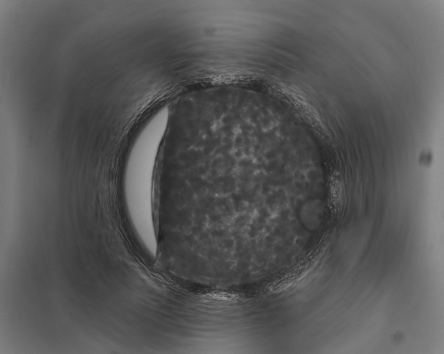 X0000097850691200803281249