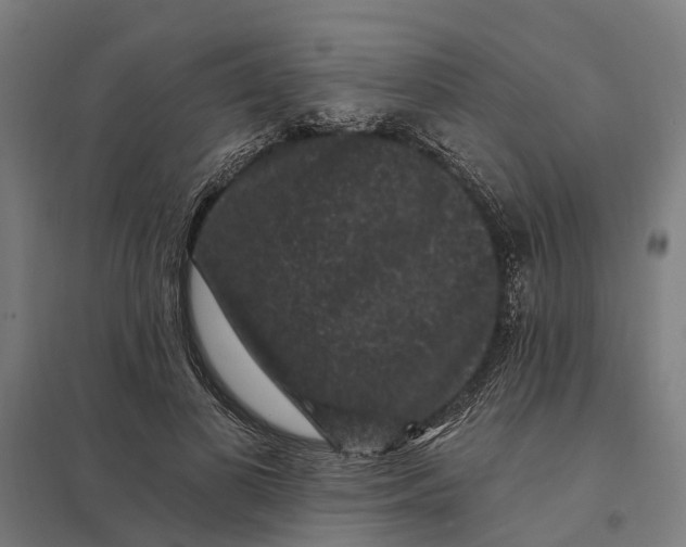 X0000097850693200803281249