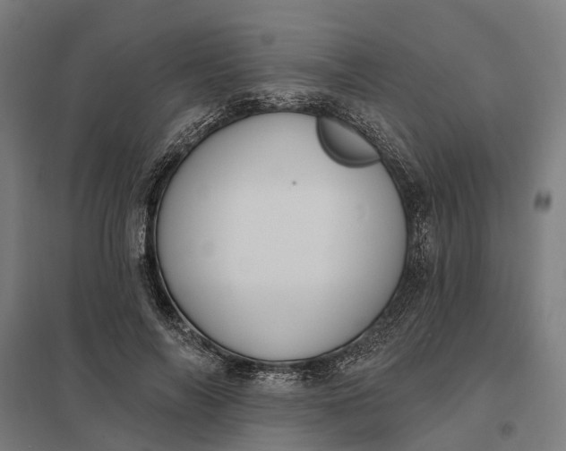 X0000097850694200803281249