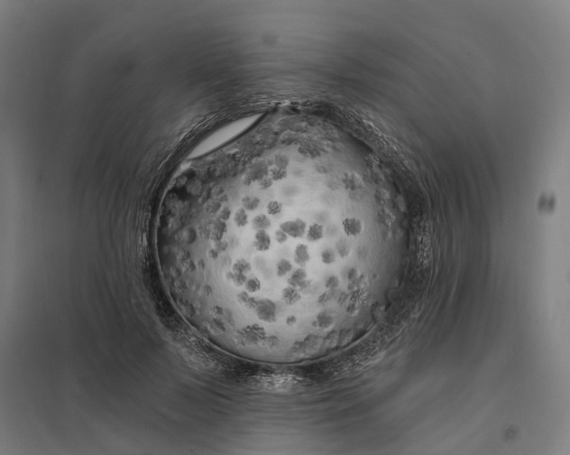 X0000097850695200803281249