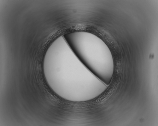 X0000097850697200803281249