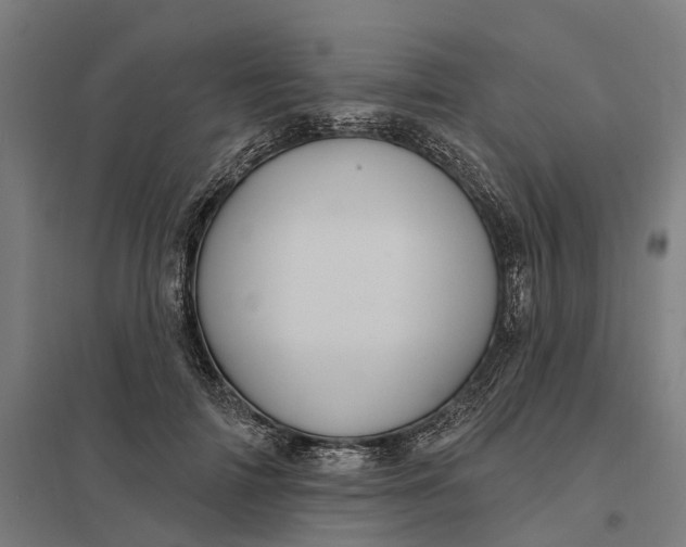 X0000097850698200803281249