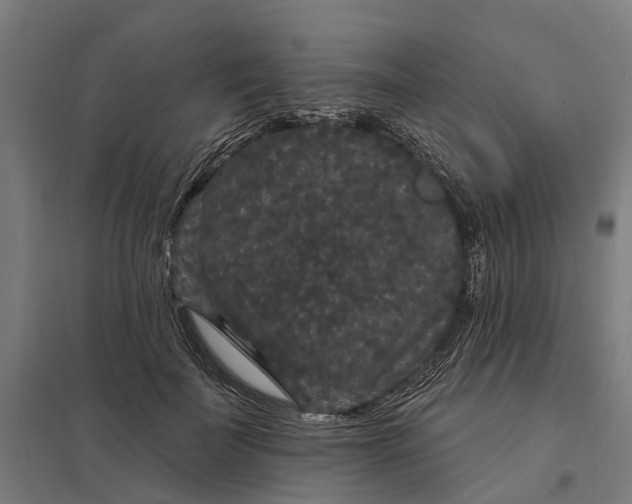 X0000097850699200803281249