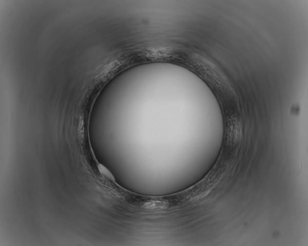 X0000097850700200803281249