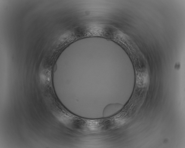 X0000097850701200803281249