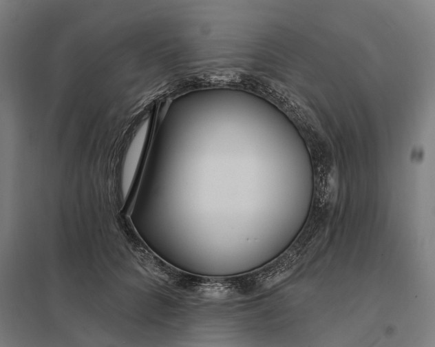 X0000097850704200803281249