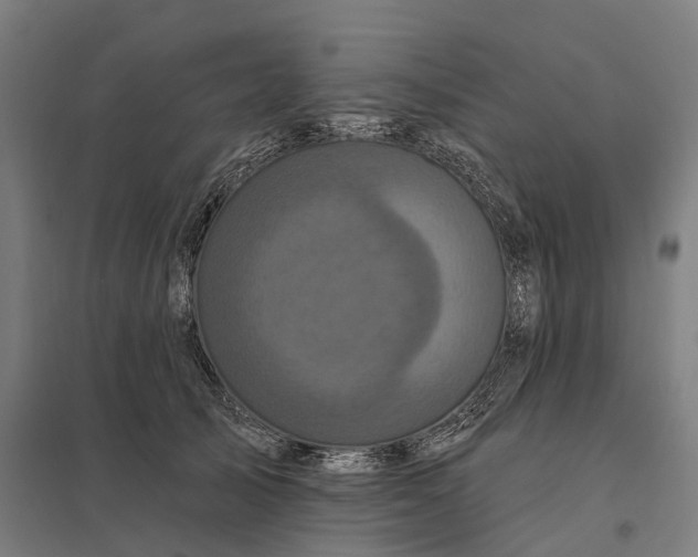 X0000097850705200803281249