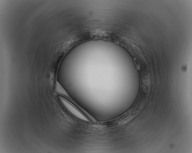 X0000097850708200803281249