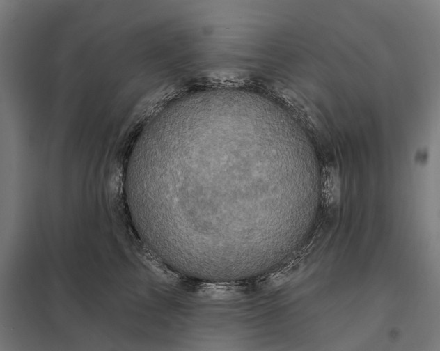 X0000097850713200803281249