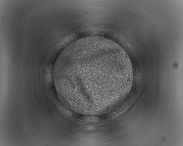 X0000097850719200803281248