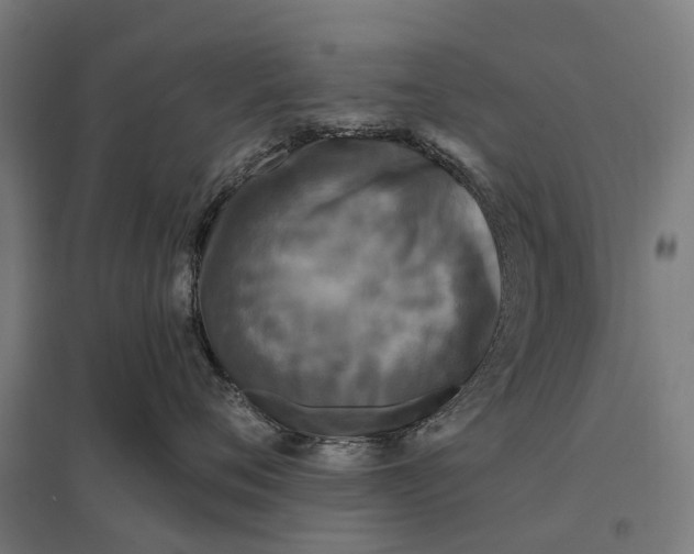 X0000097850720200803281248