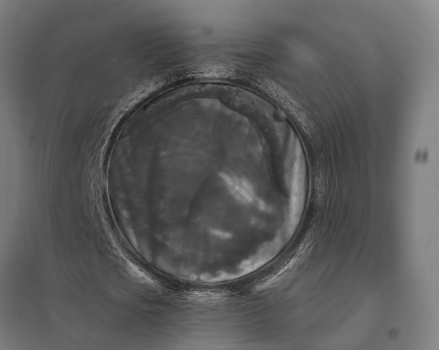 X0000097850721200803281247