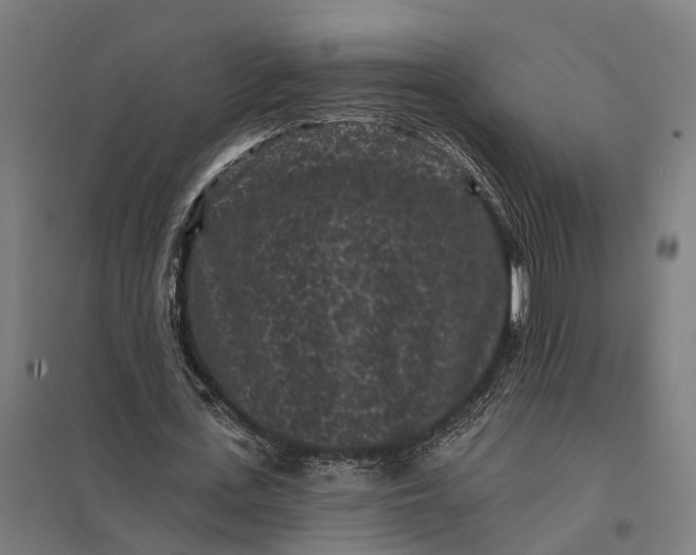 X0000097850723200803281248