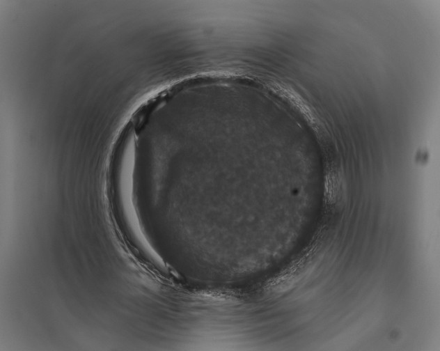 X0000097850724200803281248