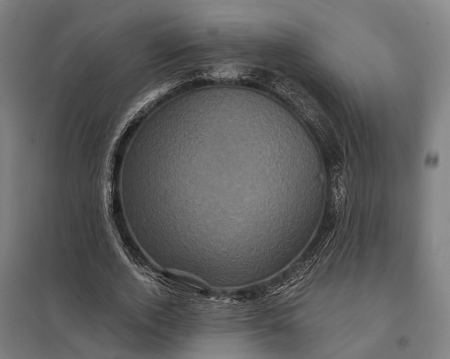 X0000097850728200803281248