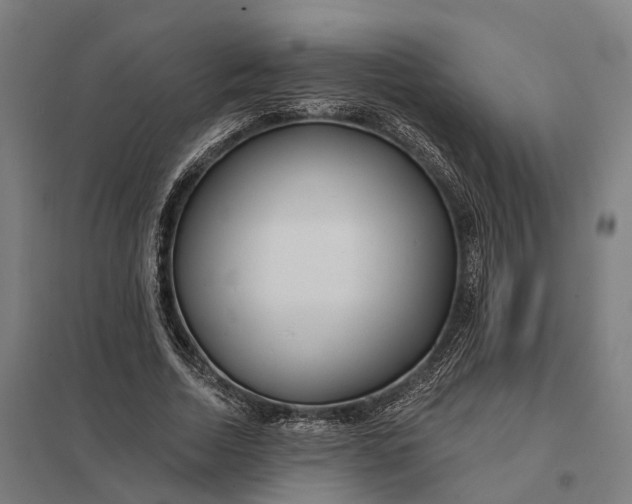 X0000097850730200803281248