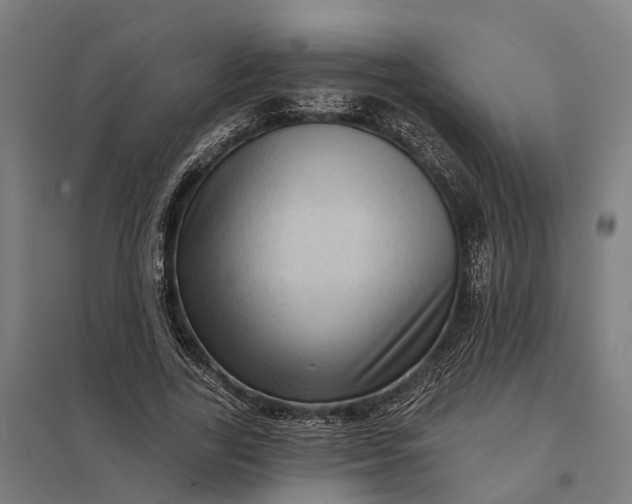 X0000097850731200803281248