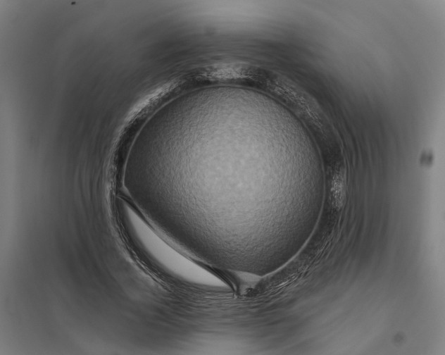 X0000097850732200803281248