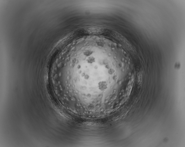 X0000097850733200803281248