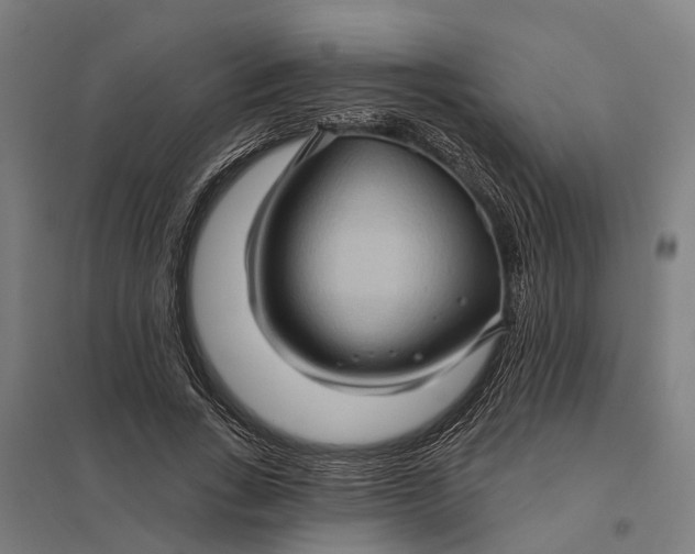 X0000097850735200803281248