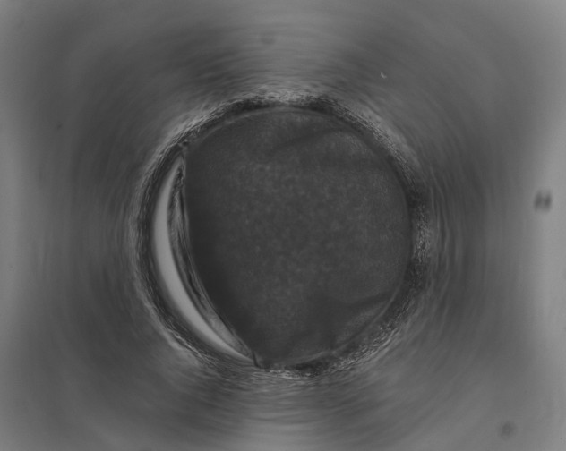 X0000097850736200803281248