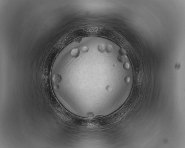 X0000097850737200803281248