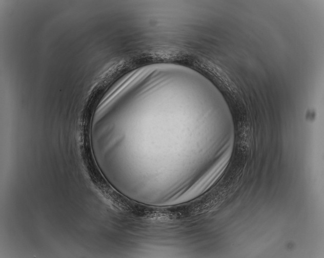 X0000097850738200803281248