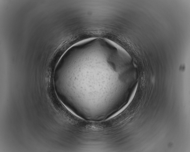 X0000097850739200803281248