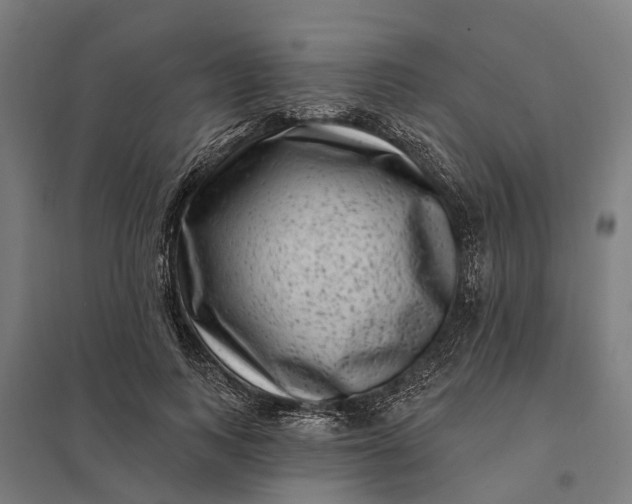 X0000097850743200803281248