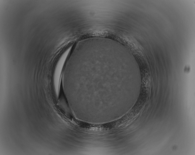 X0000097850744200803281248