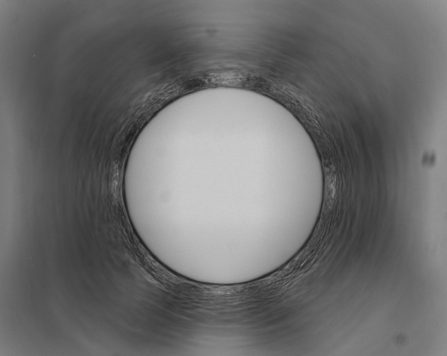 X0000097850745200803281248