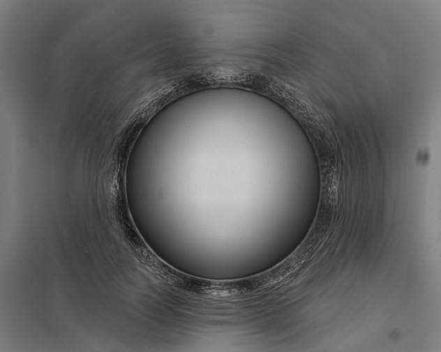 X0000097850746200803281248