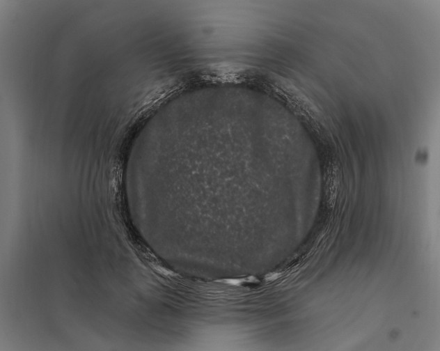 X0000097850747200803281248