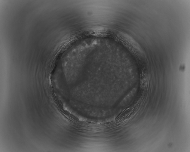 X0000097850748200803281248