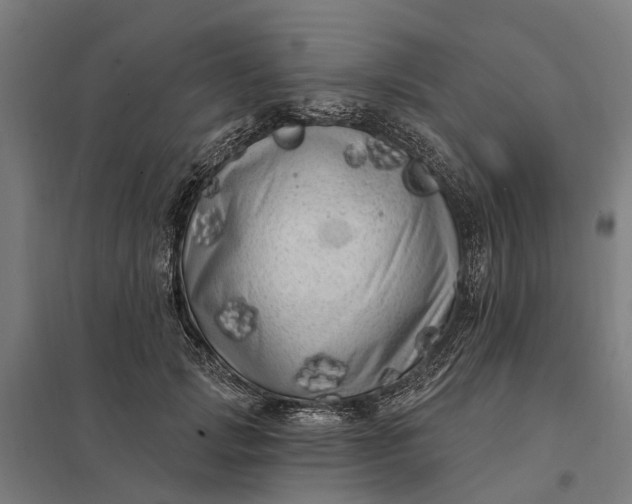 X0000097850749200803281248