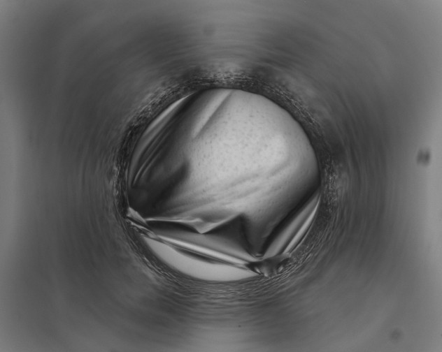 X0000097850750200803281248