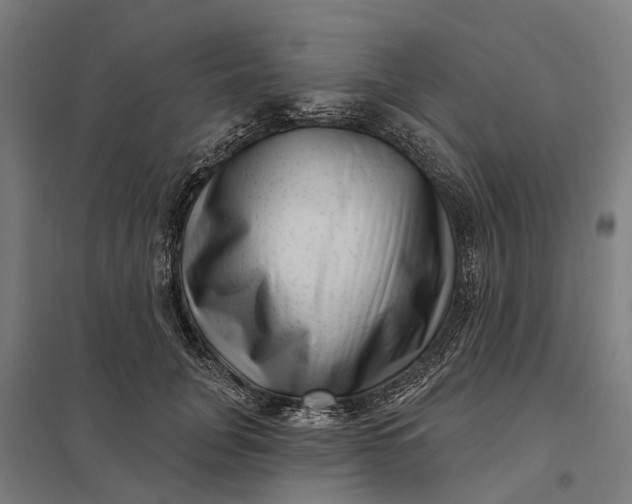 X0000097850751200803281248