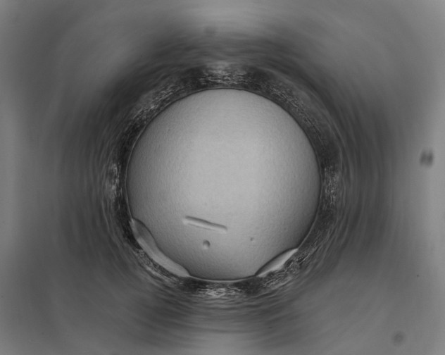 X0000097850752200803281248