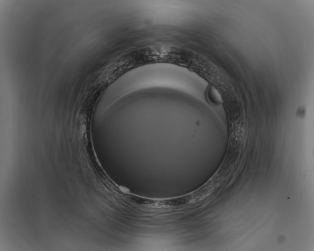 X0000097850754200803281248