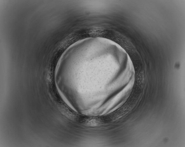 X0000097850755200803281248