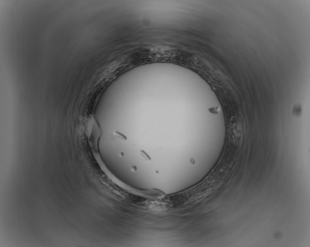 X0000097850756200803281248