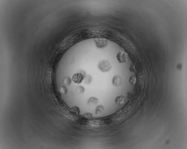 X0000097850757200803281248